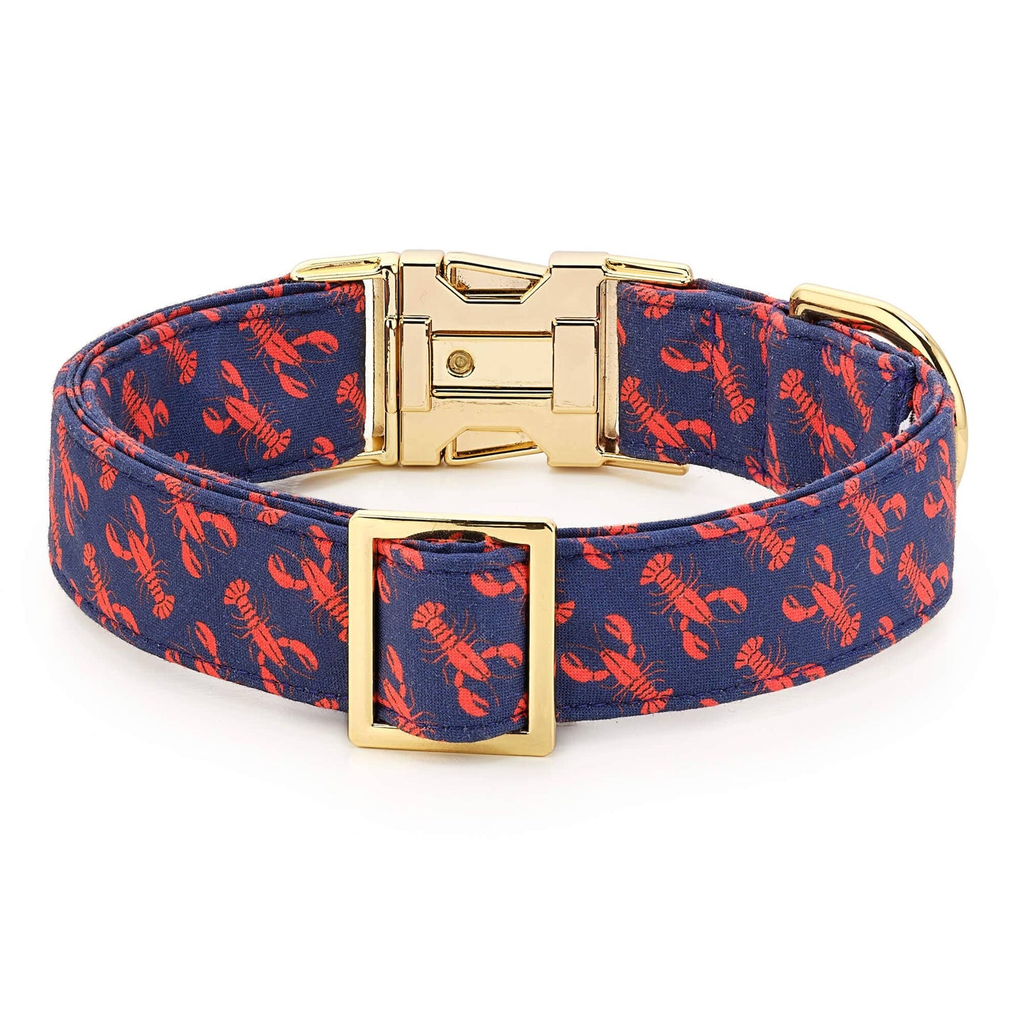Catch of the Day Lobster Dog Collar