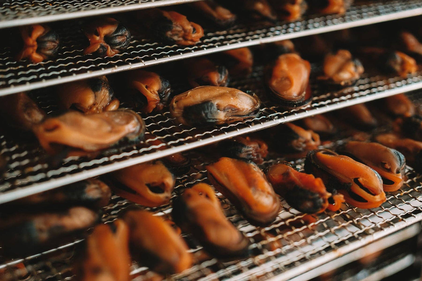 Dehydrated Green Lipped Mussels (NZ): 3 oz