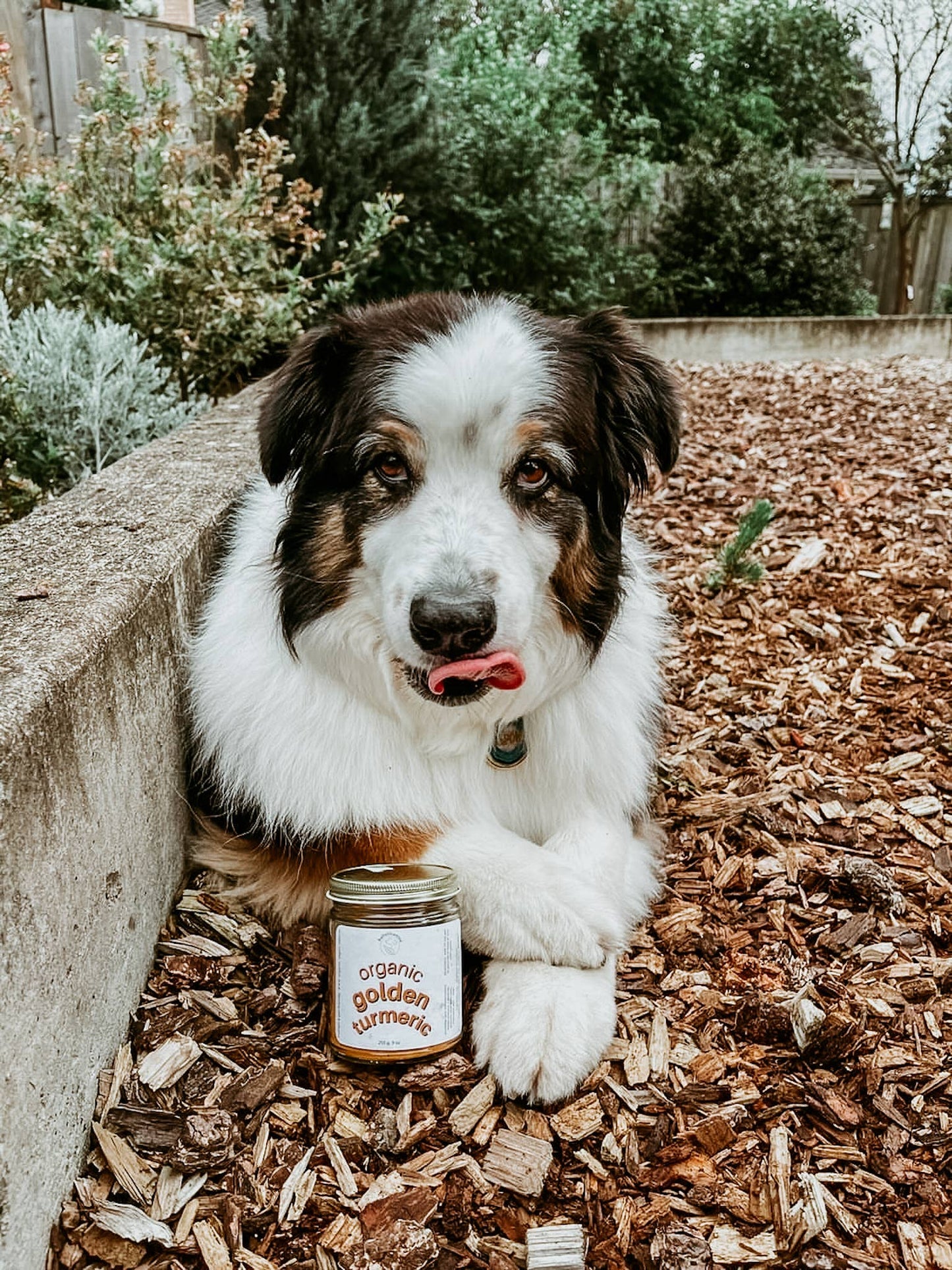 Organic Golden Turmeric Supplement