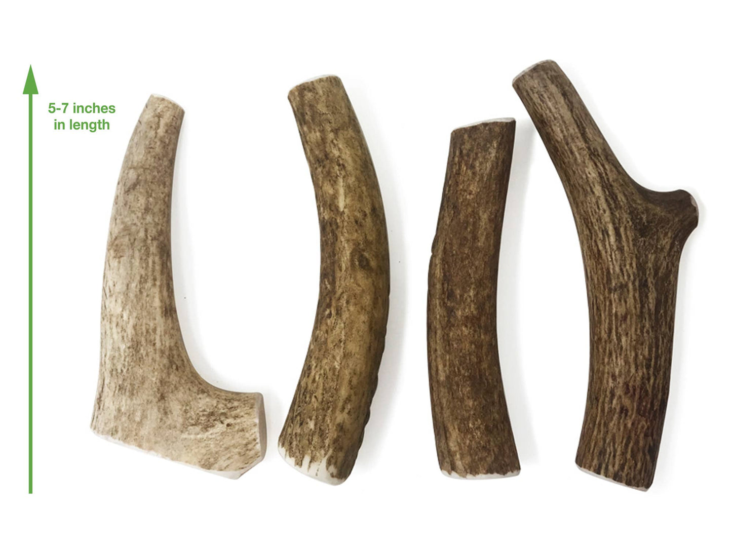 Whole Elk Antler Dog Chews