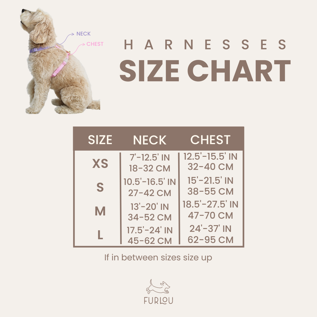 Teal Comfort Dog Harness