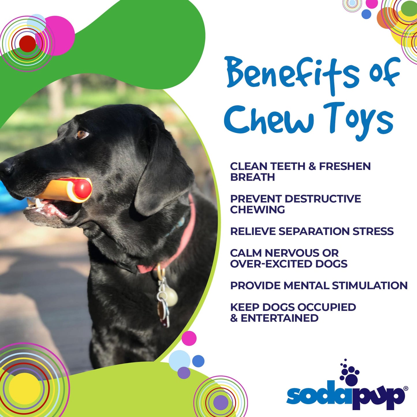 Nylon Hot Dog Chew Toy