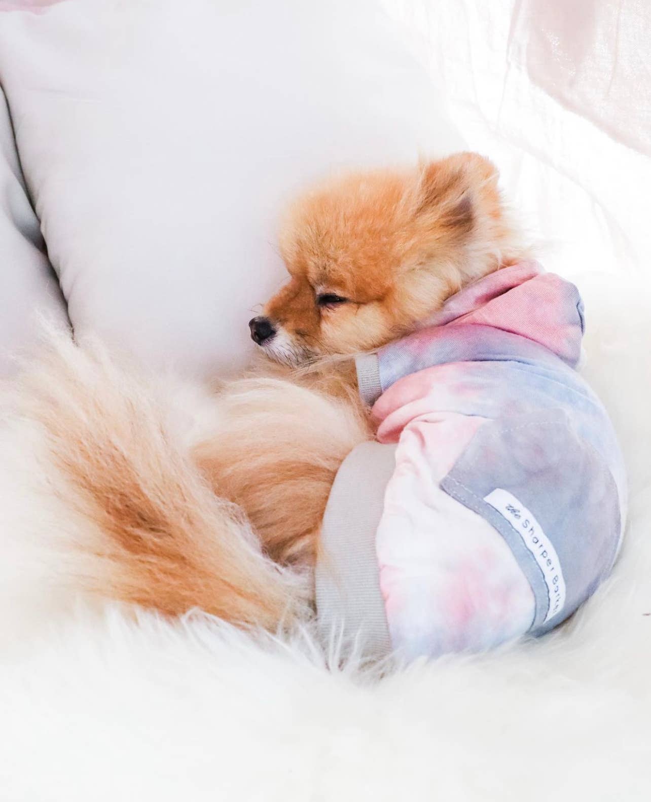 Tie Dye Dog Hoodie