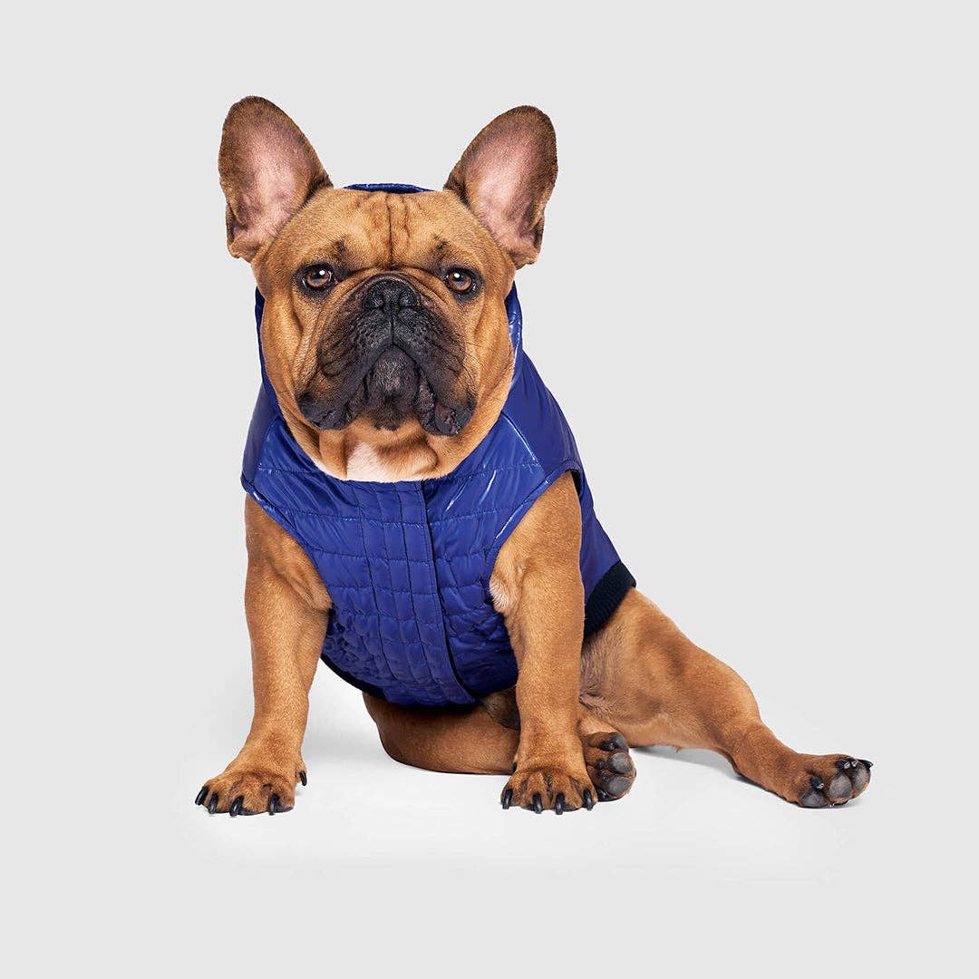 Shiny Puffer Vest- Dog Coat: Iridescent / 16
