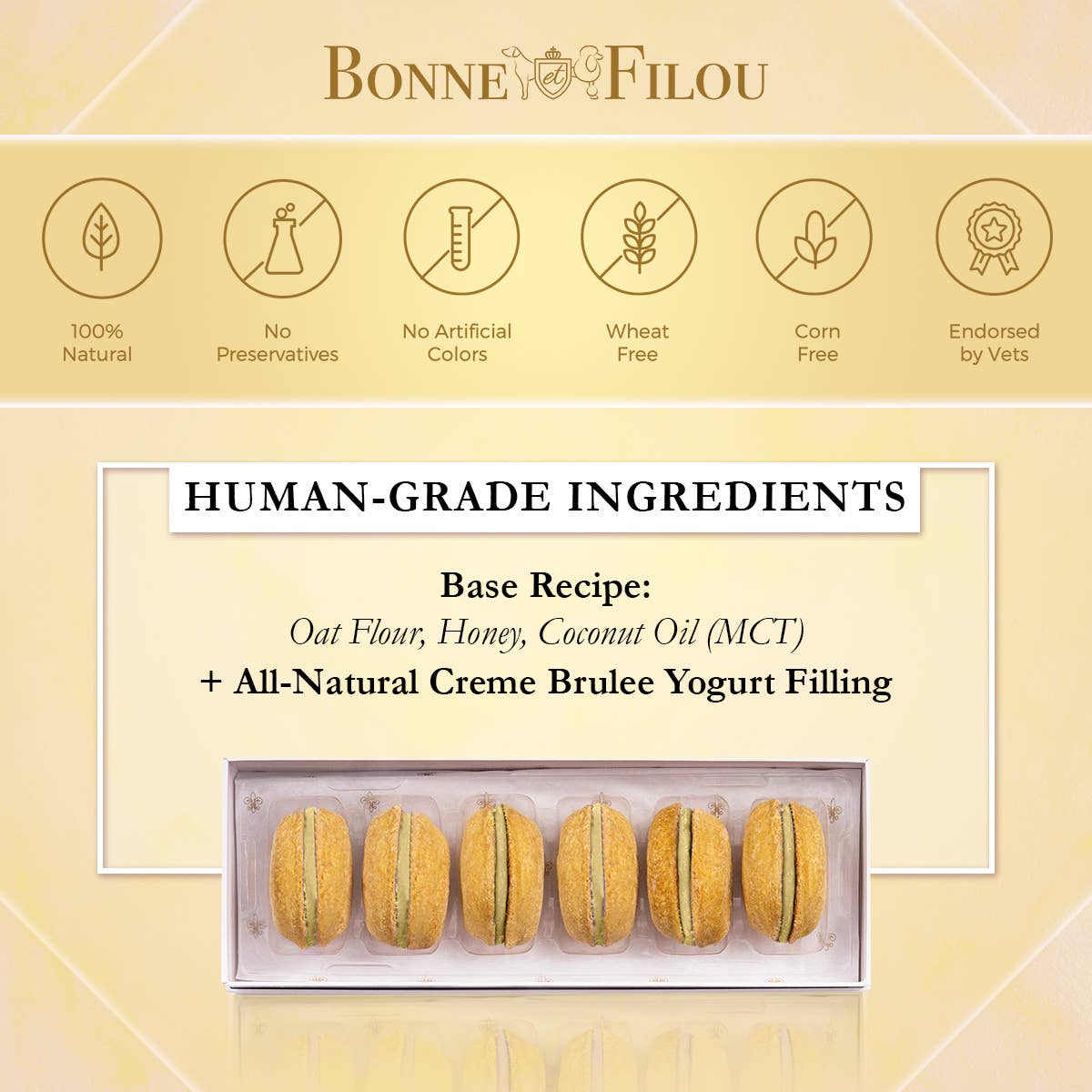 Dog Macarons 3 pack: Crème Brulée