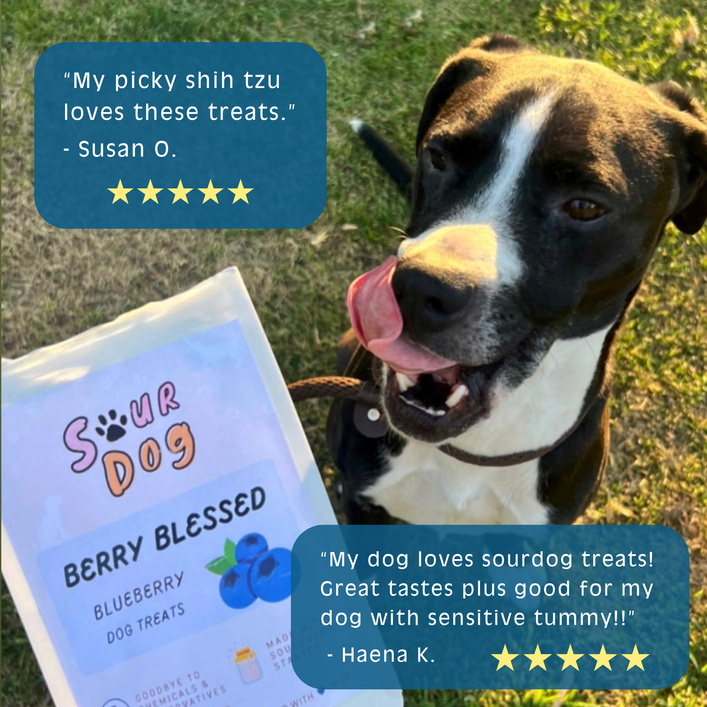 Berry Blessed- Blueberry Sourdough Dog Treats
