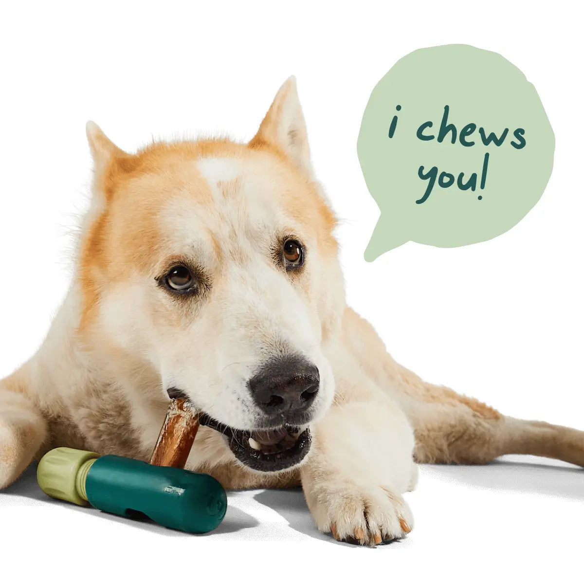 Woof Bullysafe Chews - Pure Collagen