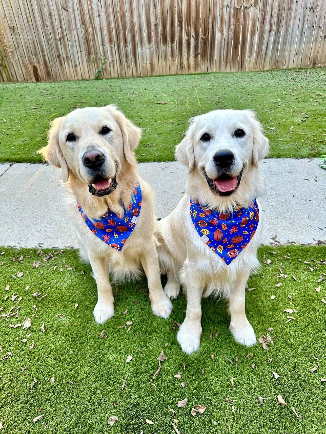 Game Day Football Wrinkle Resistant Bandana: Medium/large