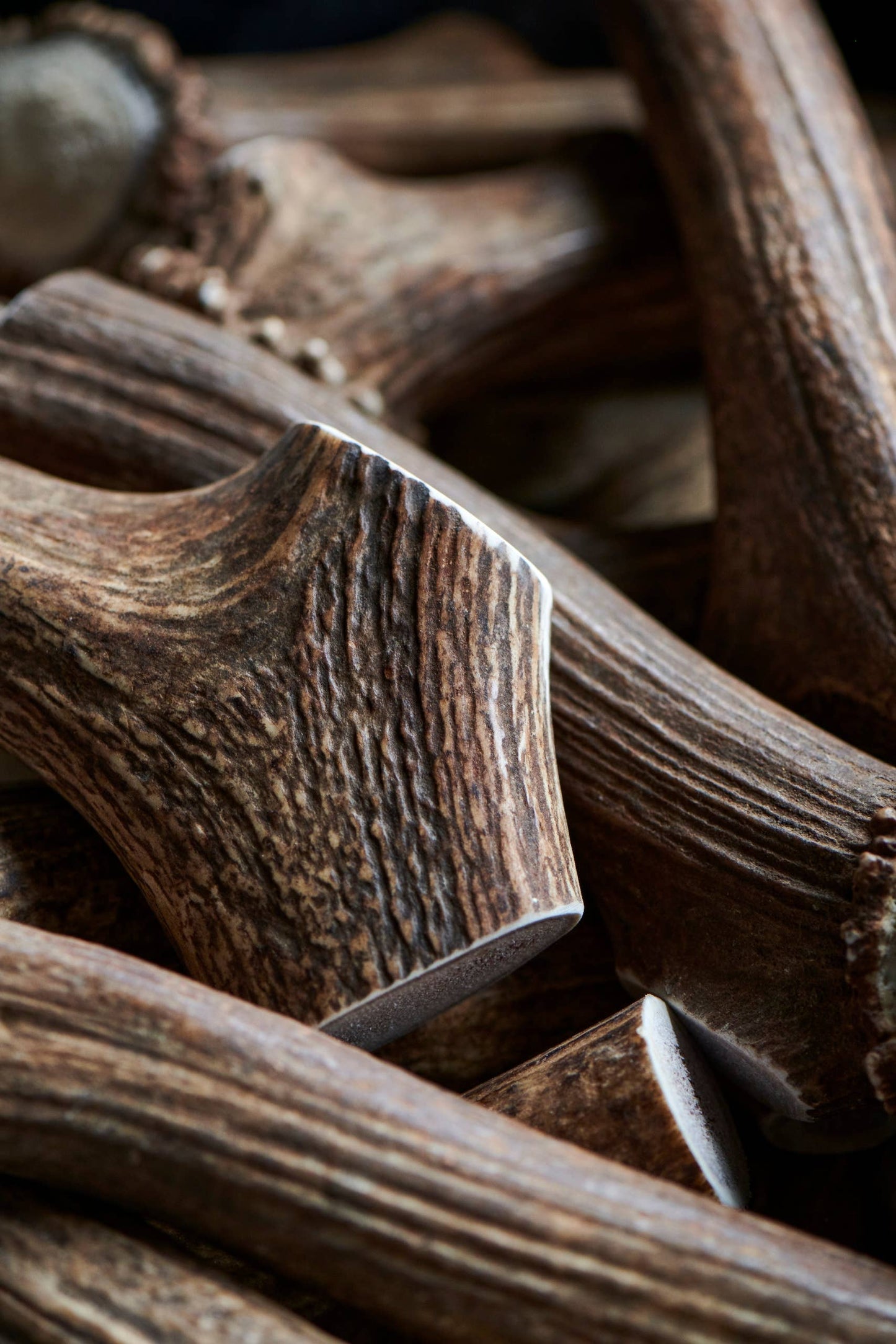 Whole Elk Antler Dog Chews