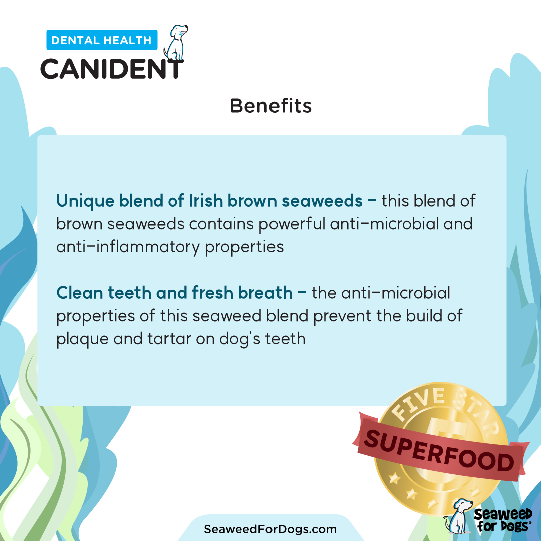 Canident Dental Health Supplement - 150 grams