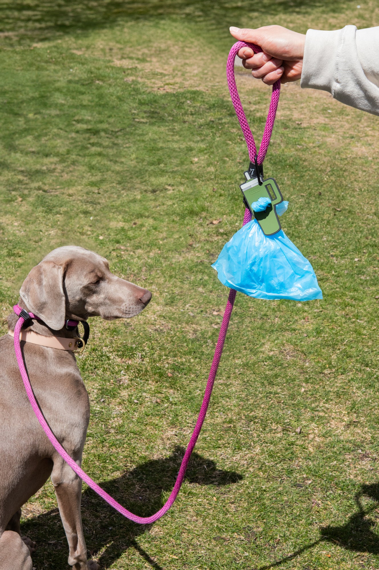 Green Tumbler Poopy Loop® Used Dog Waste Bag Holder