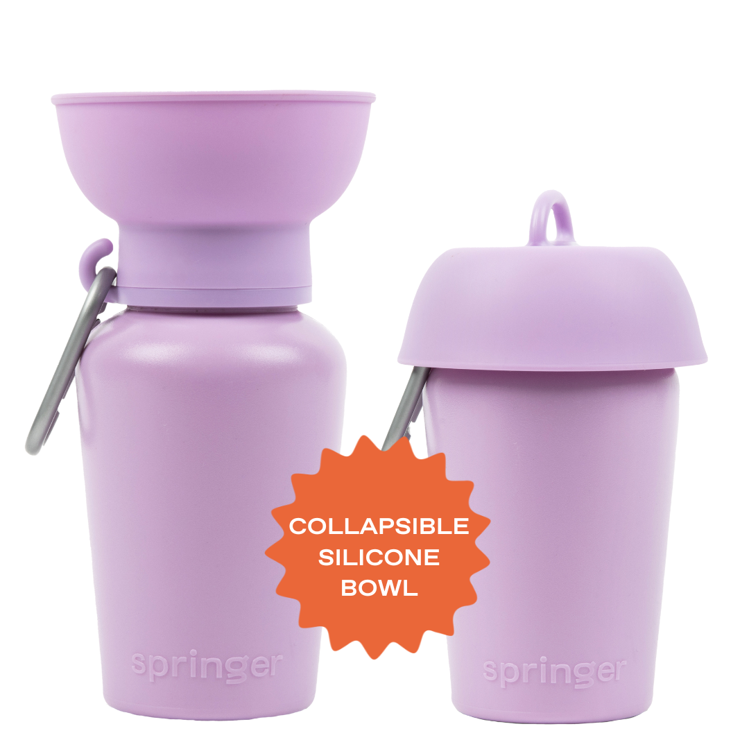Dog Travel Water Bottle, 20oz, Flip Silicone (Mixed 12 Pack)