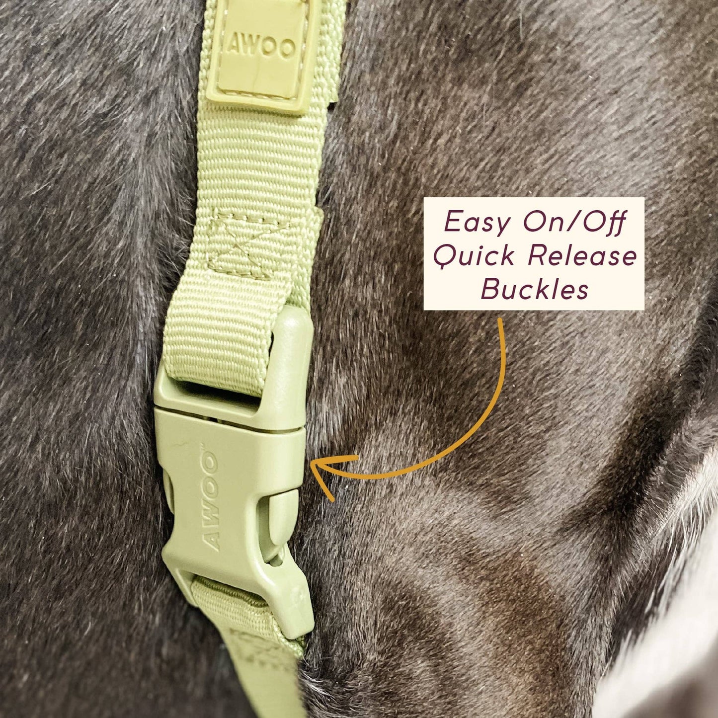 Roam Harness: PEACH / Large