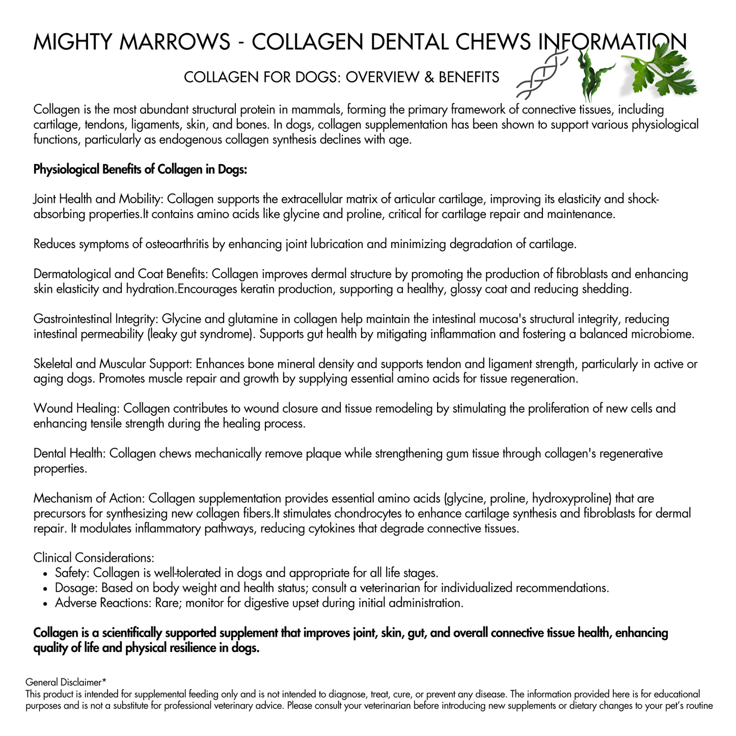 Mighty Marrows Collagen Dental Chew - Spirulina Beef