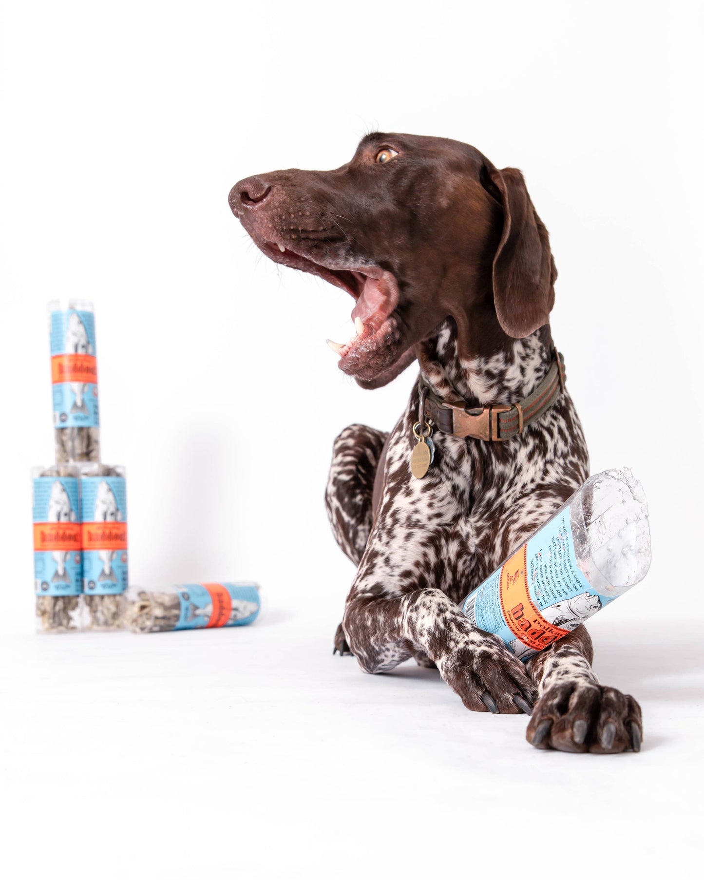 Haddock Skin Jerky - 2oz Tube - Dog Treats