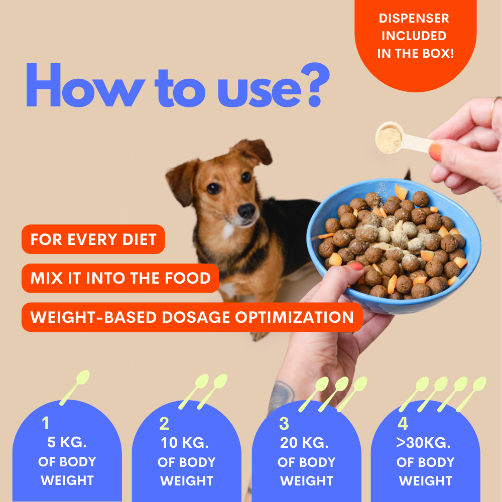 The Good Boy - Multivitamin 5 in 1 Powder Plant-based : 1 pack