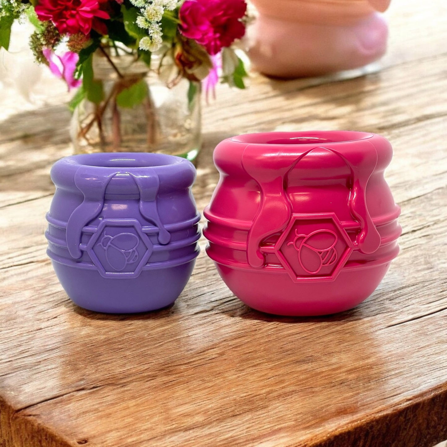 Large Honey Pot Treat Dispenser