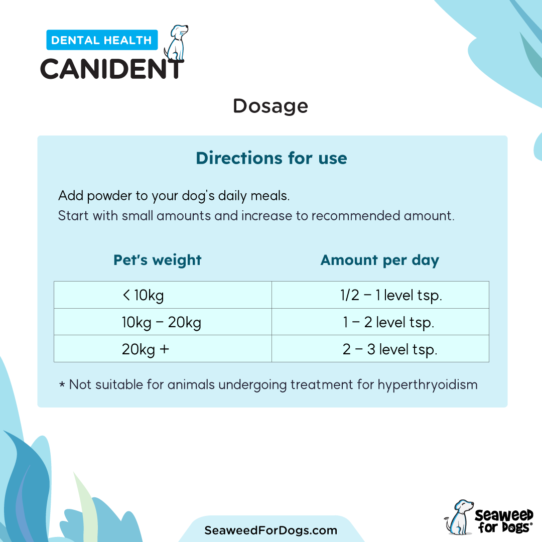 Canident Dental Health Supplement - 150 grams