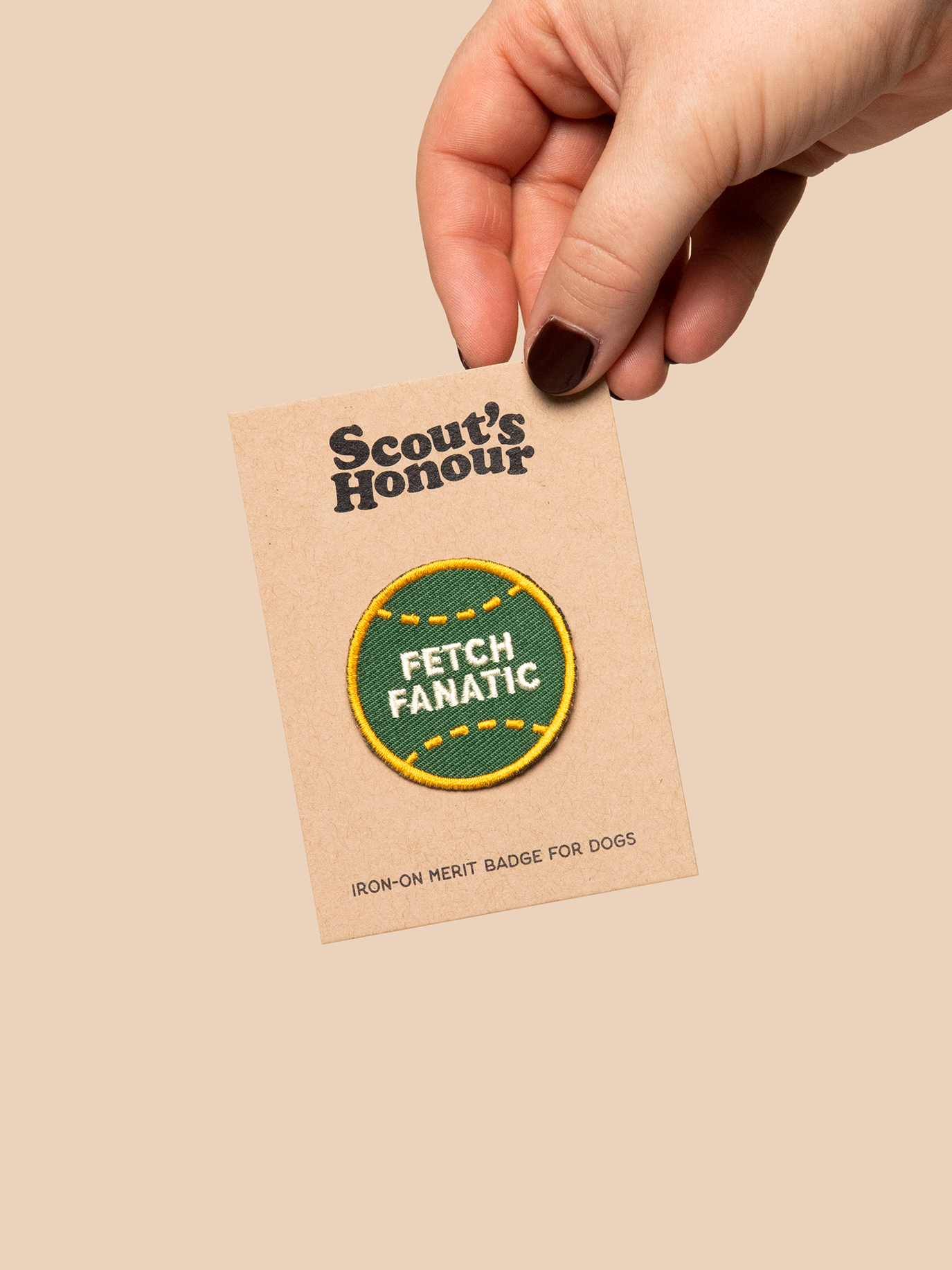 Fetch Fanatic Patch