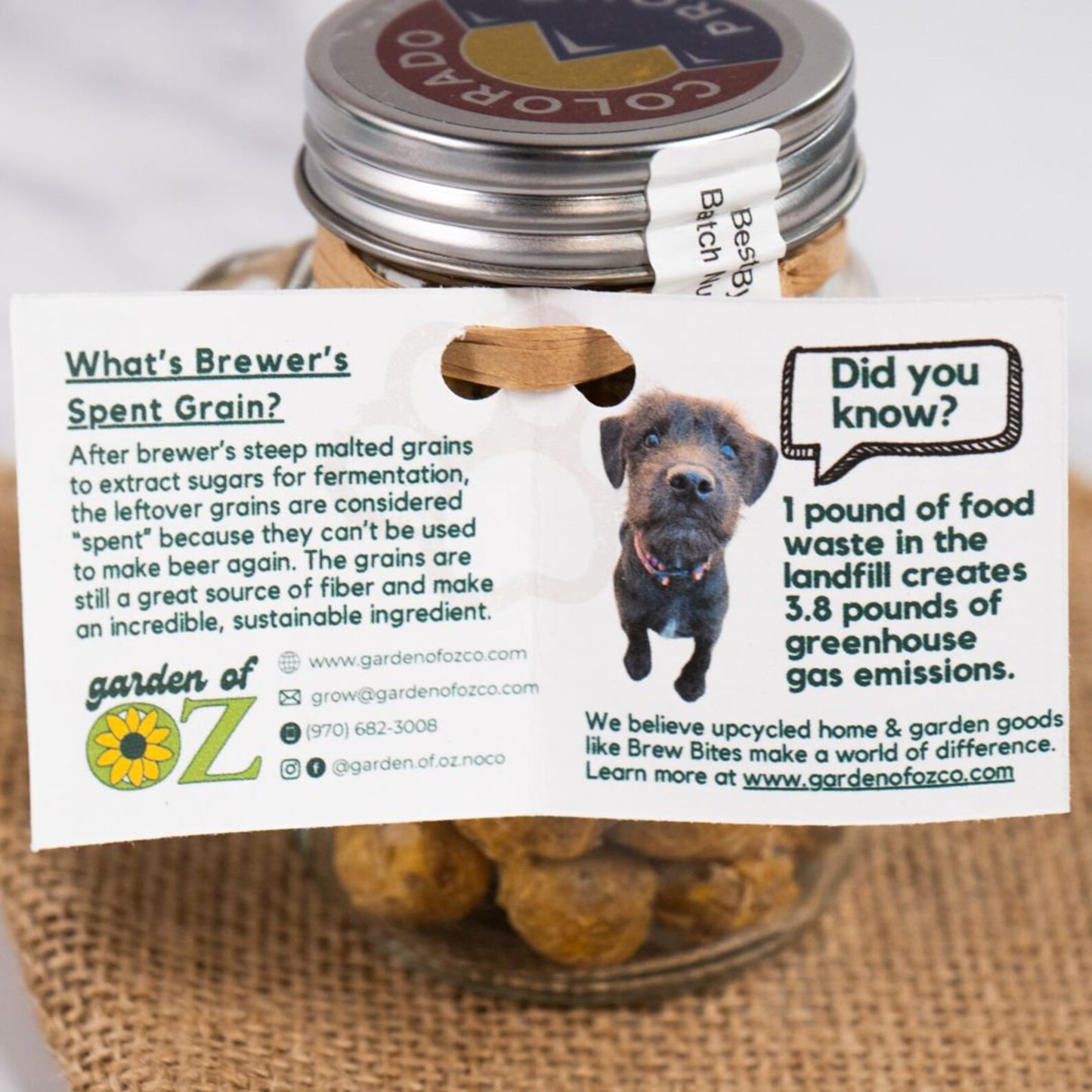 Brew Bites Dog Treats - Pumpkin Jar