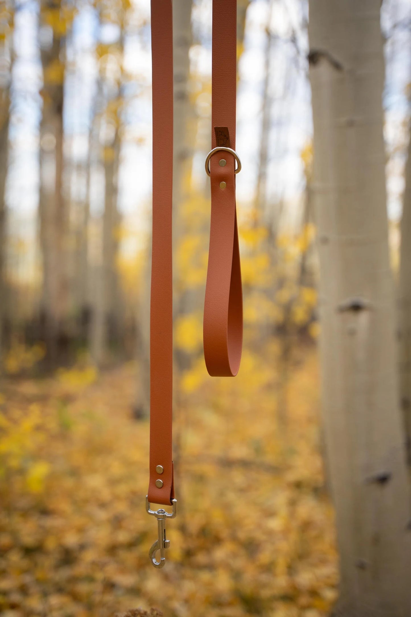 Biothane Classic Leash