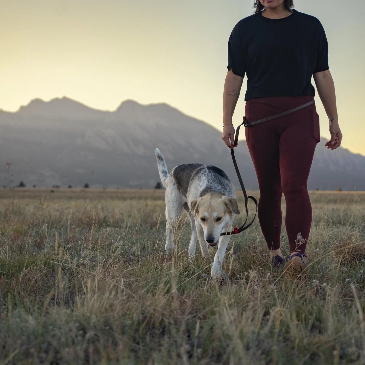 Fawn and Merle Hands-free Leash 7 ft