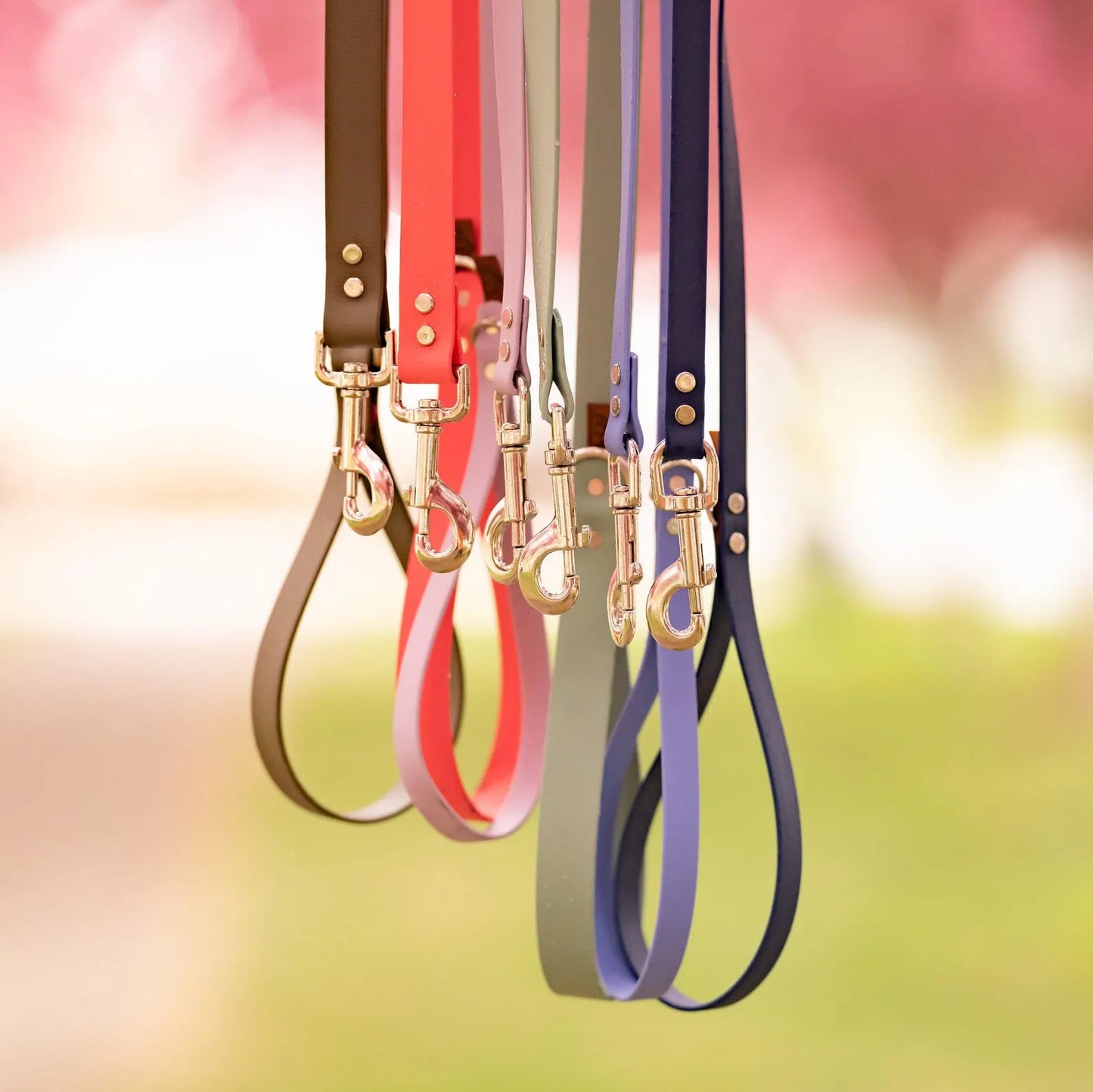 Biothane Classic Leash