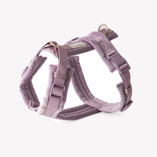 Lilac - Velvet Dog Harness:
