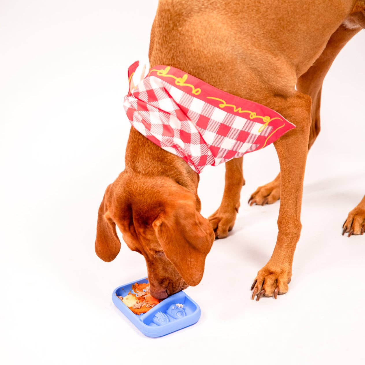 Sardina Lick Mat & Slow Feeder: MELON