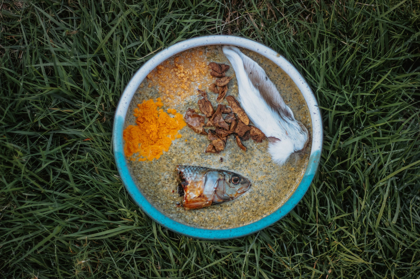 Dehydrated Rabbit Ears: 6 pack