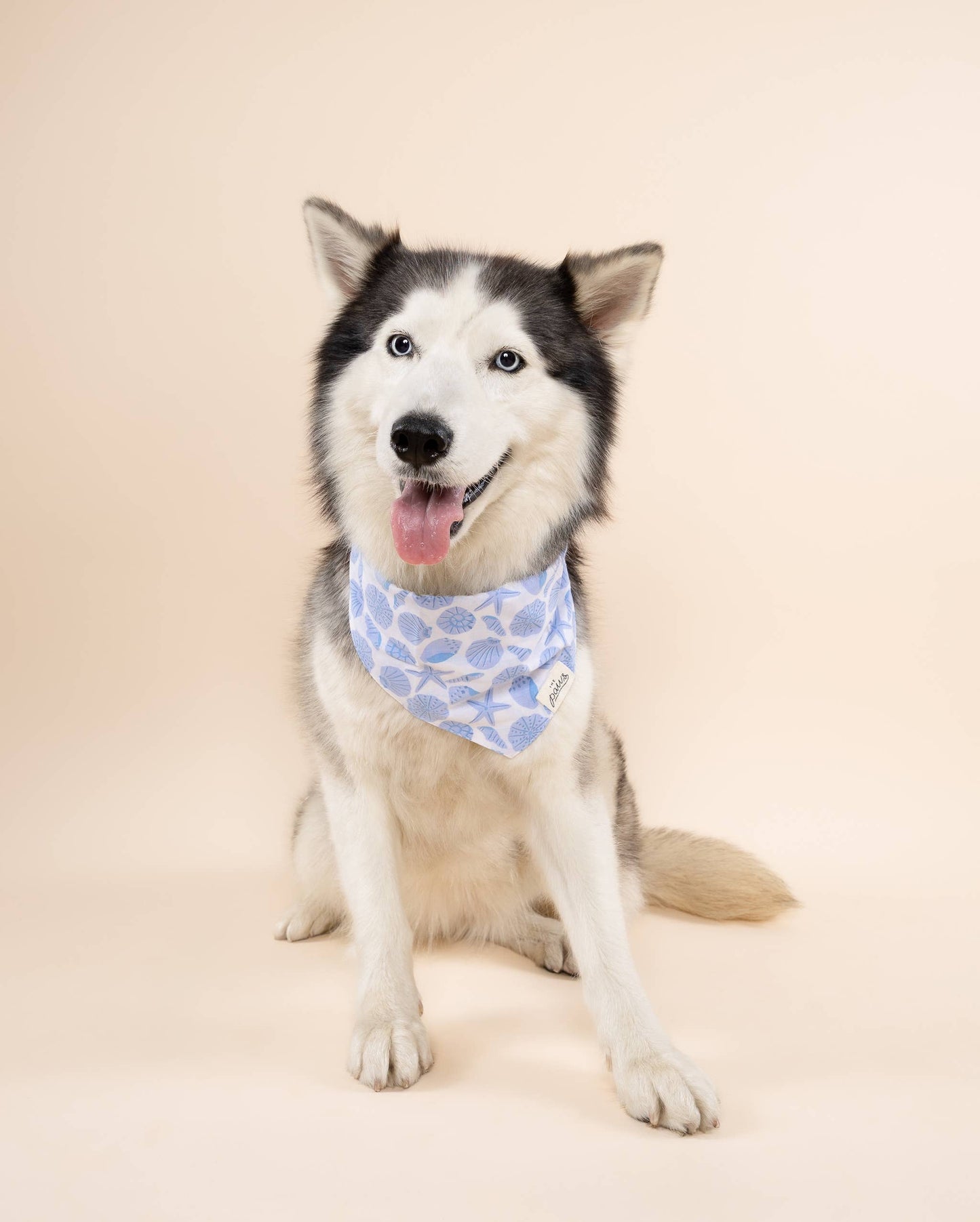 Seaside Dog Bandana