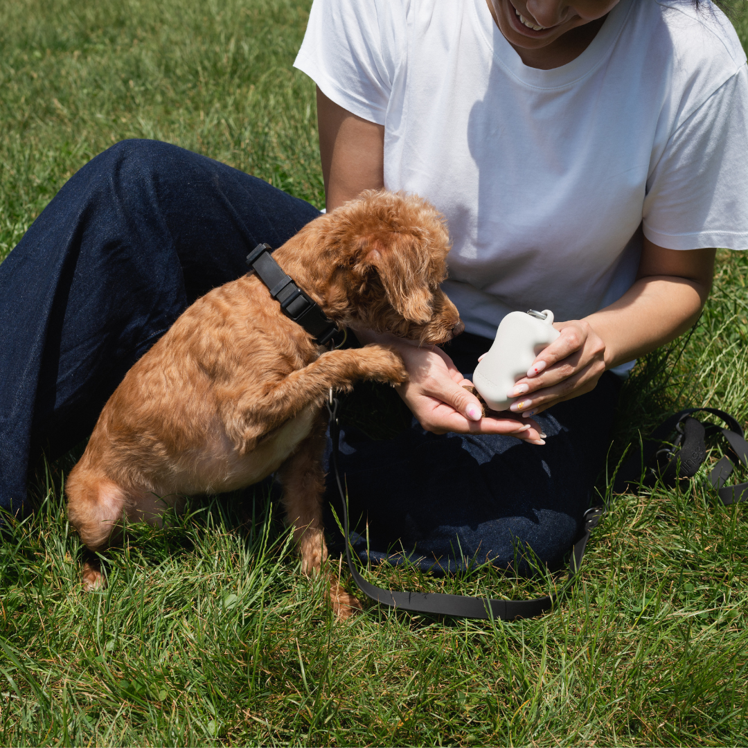 Squeeze Silicone Dog Treat Dispenser (Mixed 12 Pack)