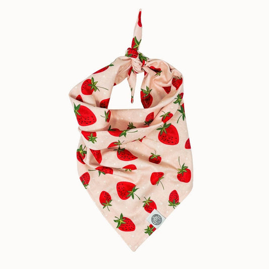 Berry Dog Bandana | Strawberry Fruit Pink Pet Accessory: Pink / L
