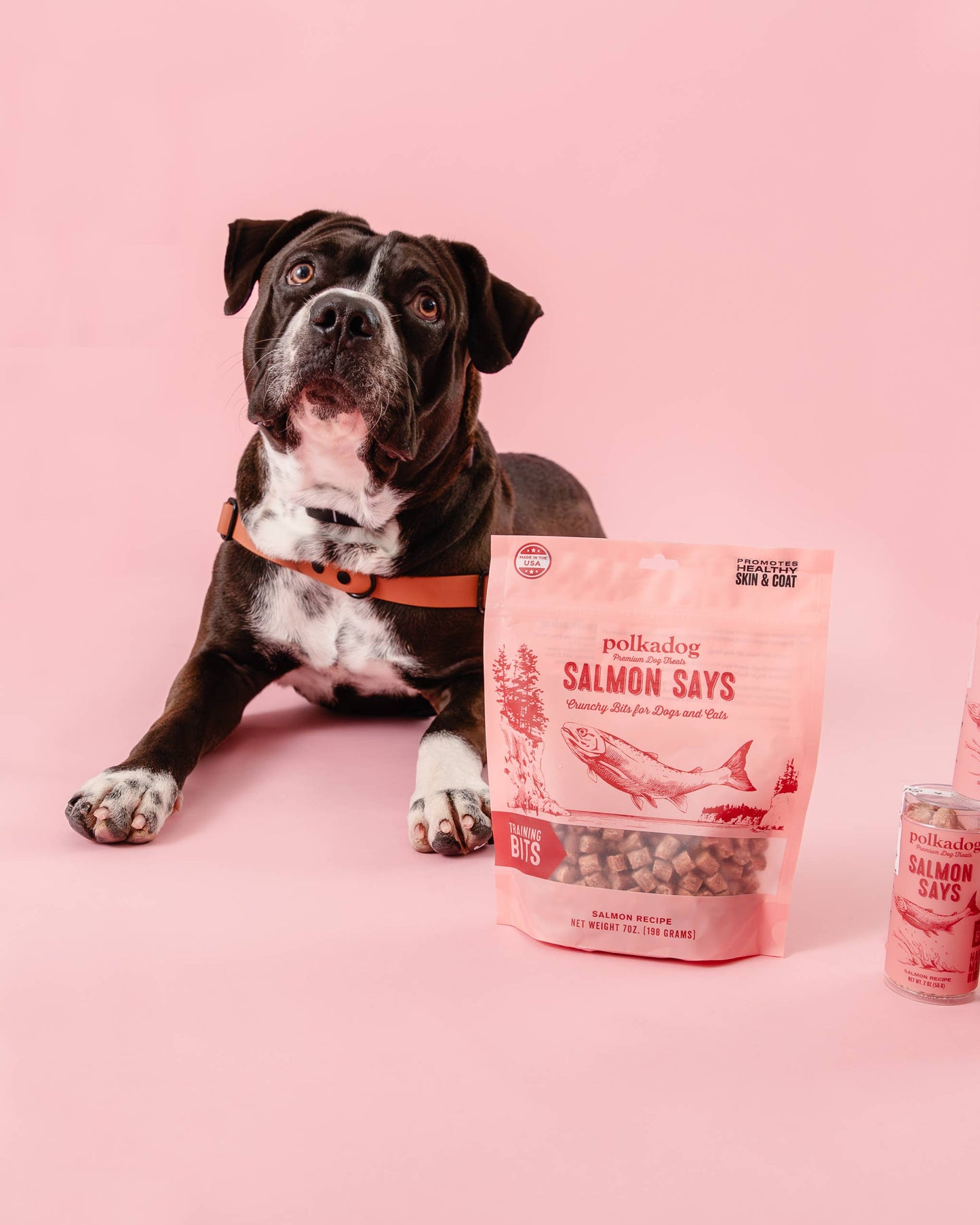 Salmon Says Training Bits - 7oz - Dog Treats