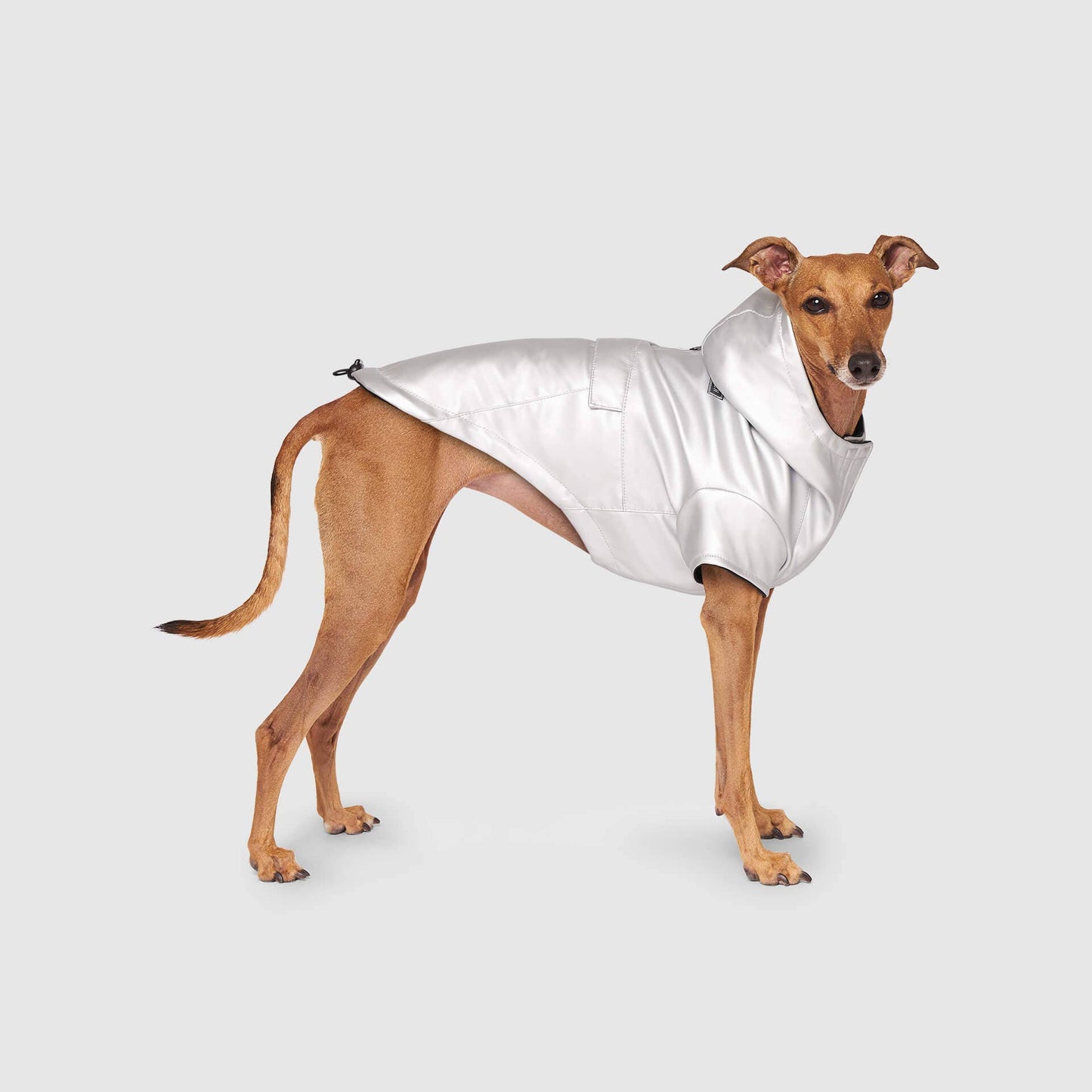 Cold Front Raincoat- Dog Raincoat: Orange / 14