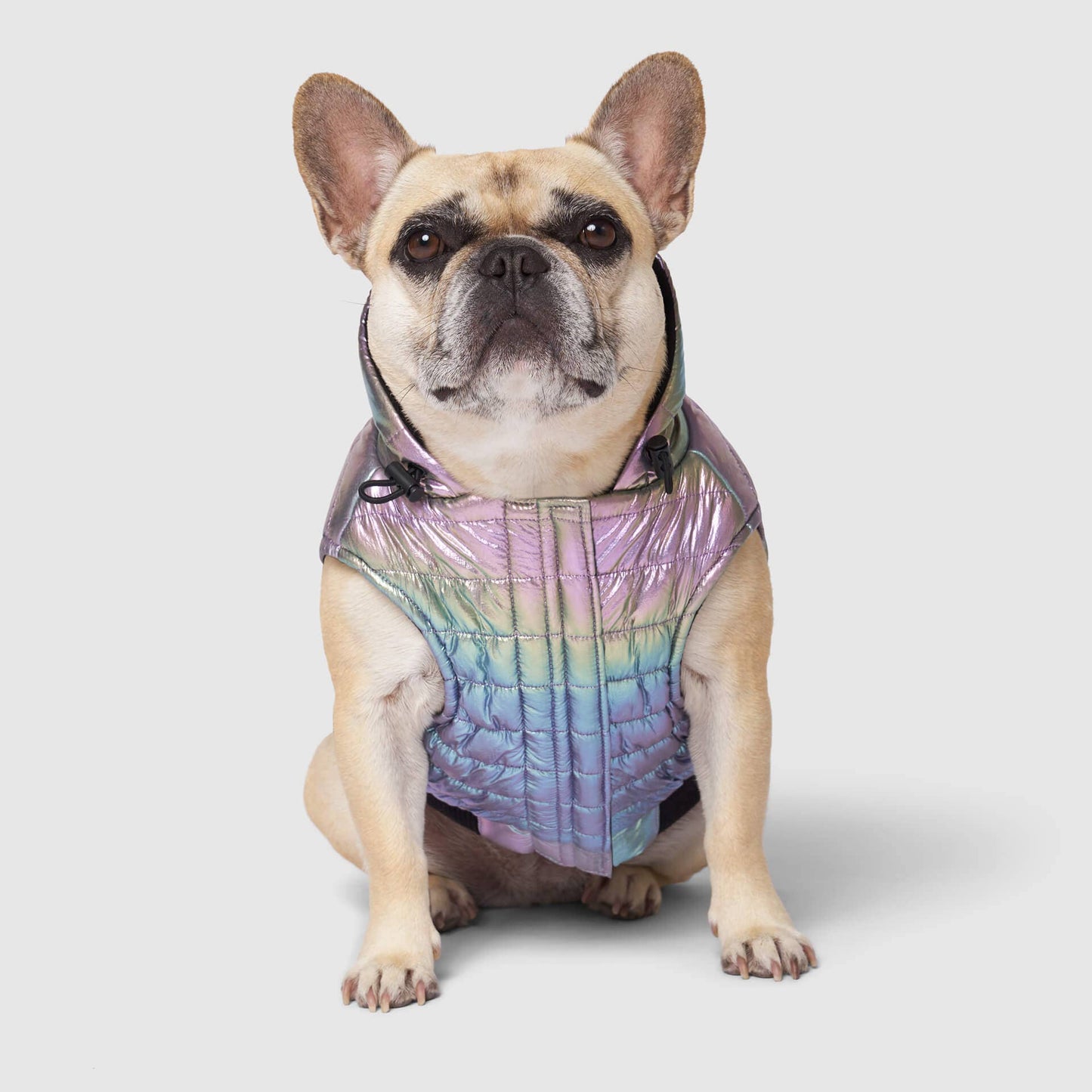 Shiny Puffer Vest- Dog Coat: Iridescent / 16