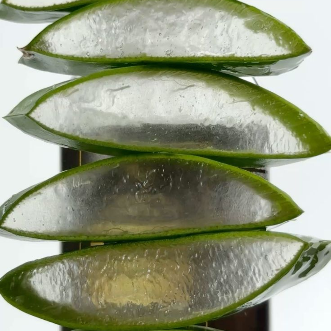 Purifying Dog Shampoo for Sensitive Skin with Aloe vera
