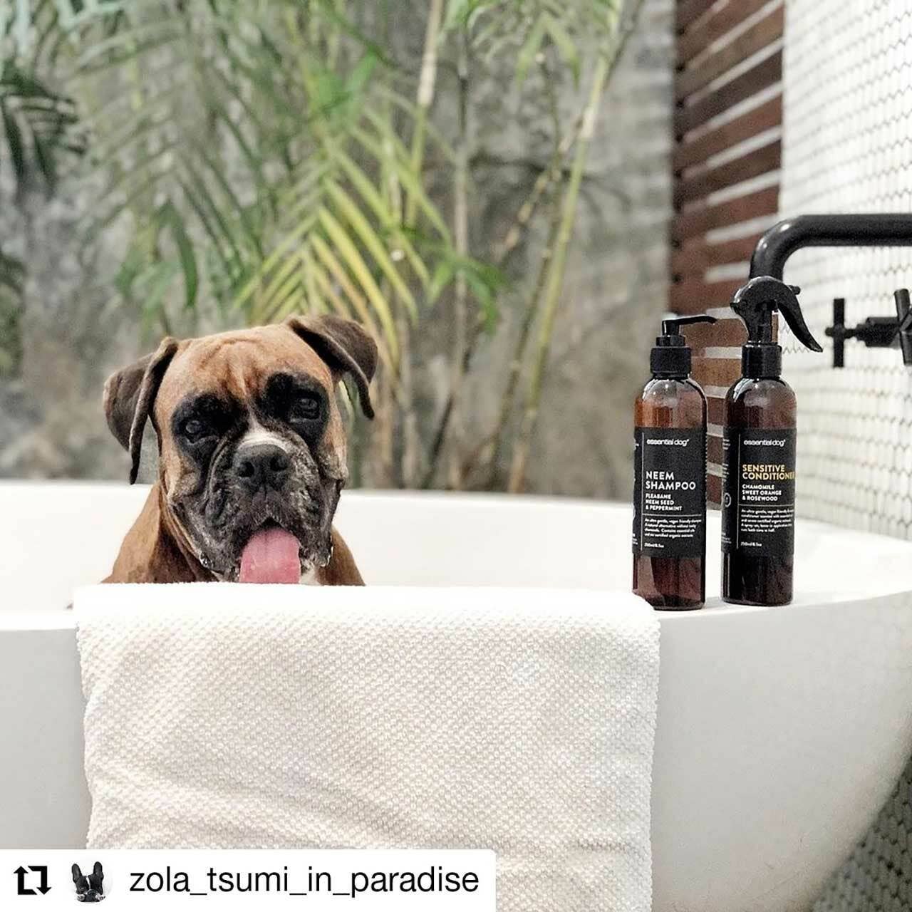 Natural Sensitive Dog Conditioner
