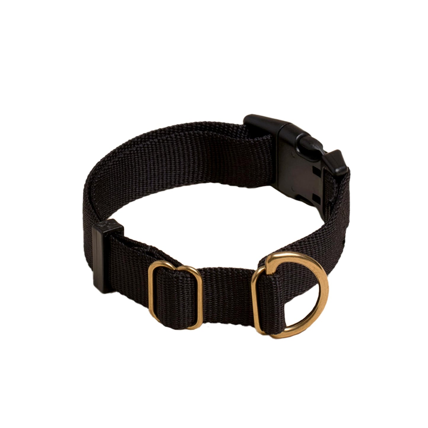 Pack Collar: PINE / Large