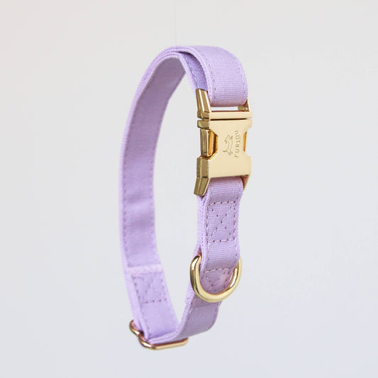 Lavender Dog Collar