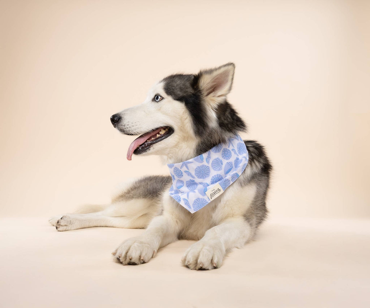 Seaside Dog Bandana