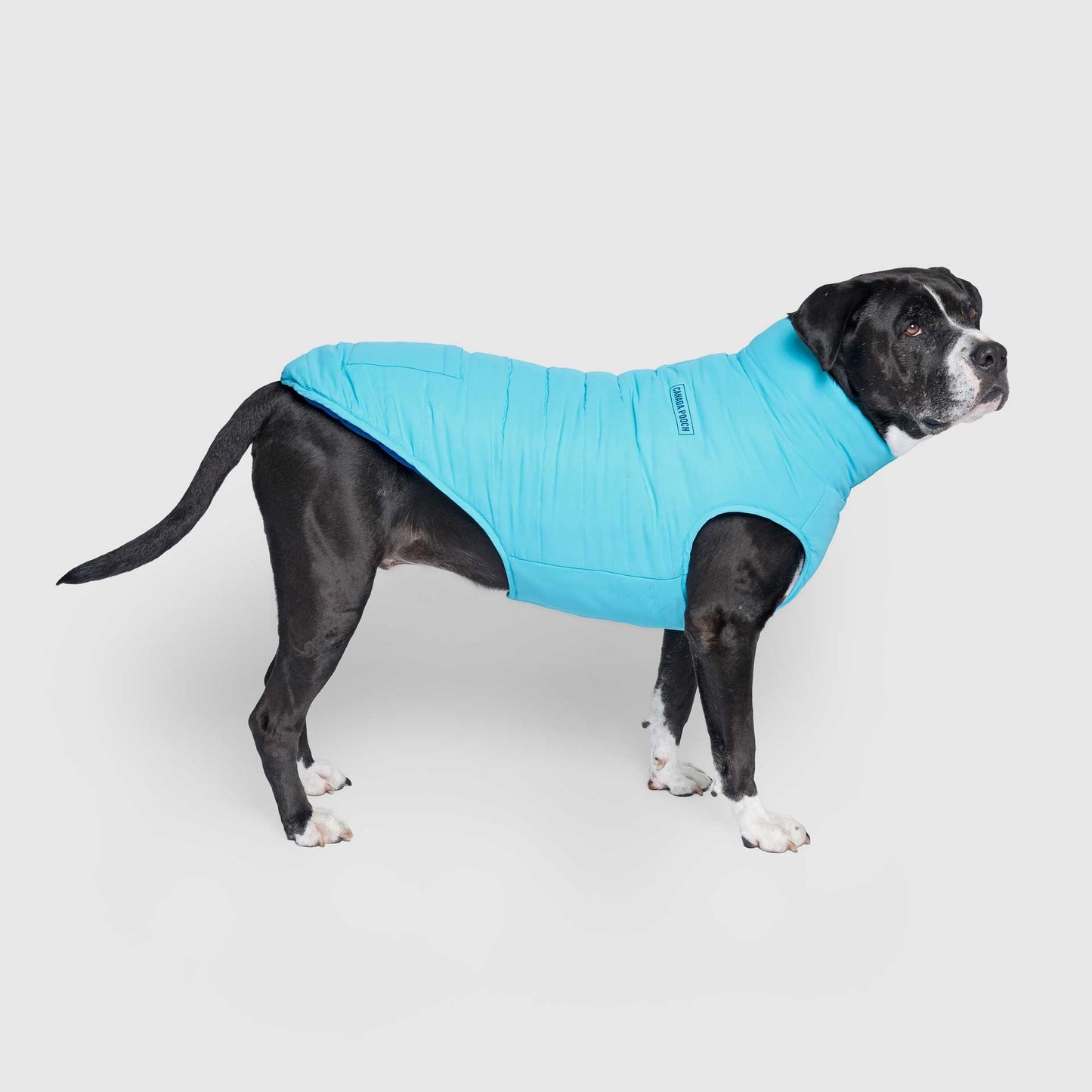 Reversible Puffer Vest- Dog Coat: Pink/Purple