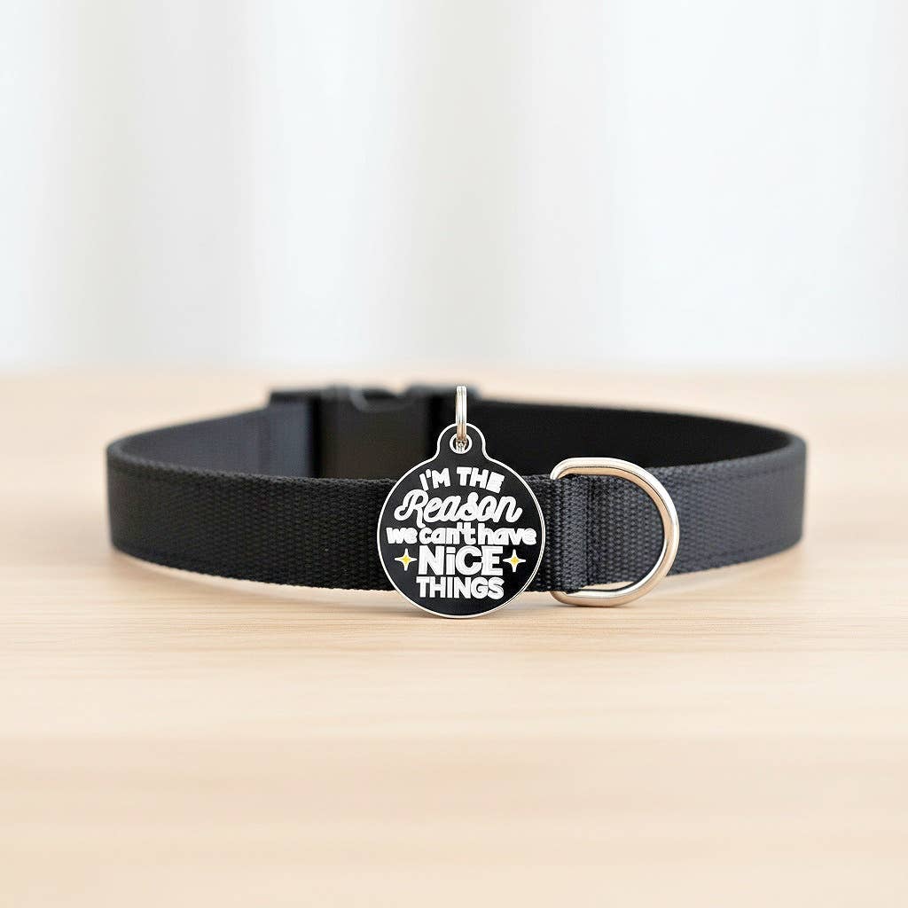 Dog ID Tag Charm - Can't Have Nice Things