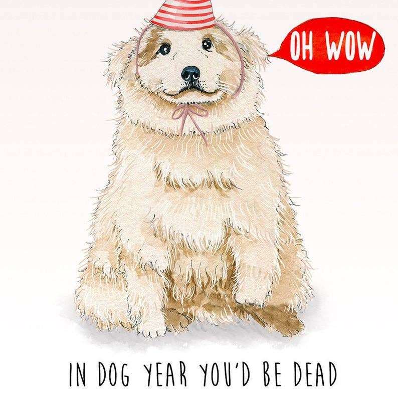 In Dog Year You’d Be Dead Funny Birthday Card