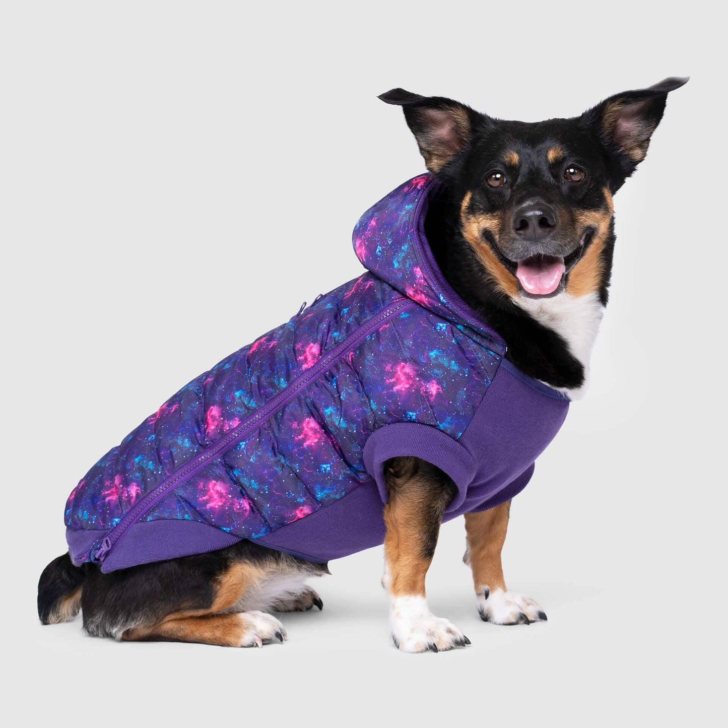 Prism Puffer- Dog Coat: Pink Houndstooth / 24