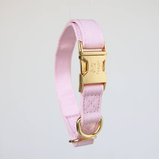 Pastel Pink Dog Collar