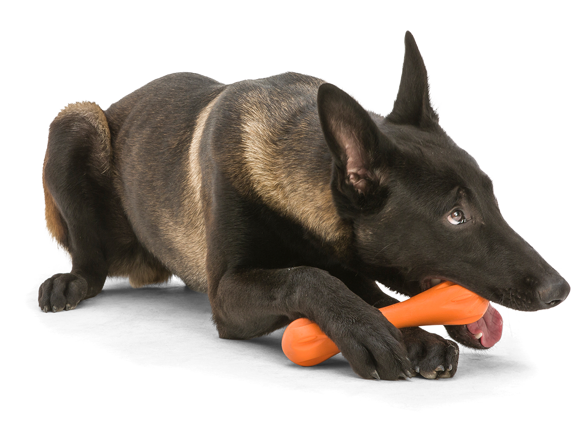 Hurley® Dog Toy for Chew, and Fetch: Tangerine / L