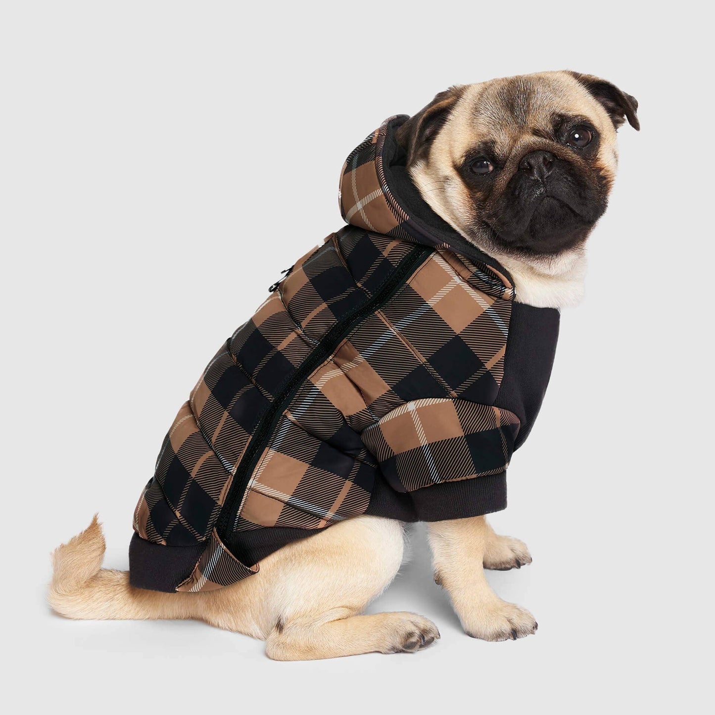 Prism Puffer- Dog Coat: Galaxy / 8