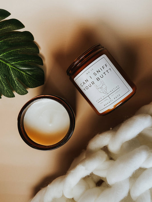 Can I Sniff Your Butt Odor Eliminating Soy Candle