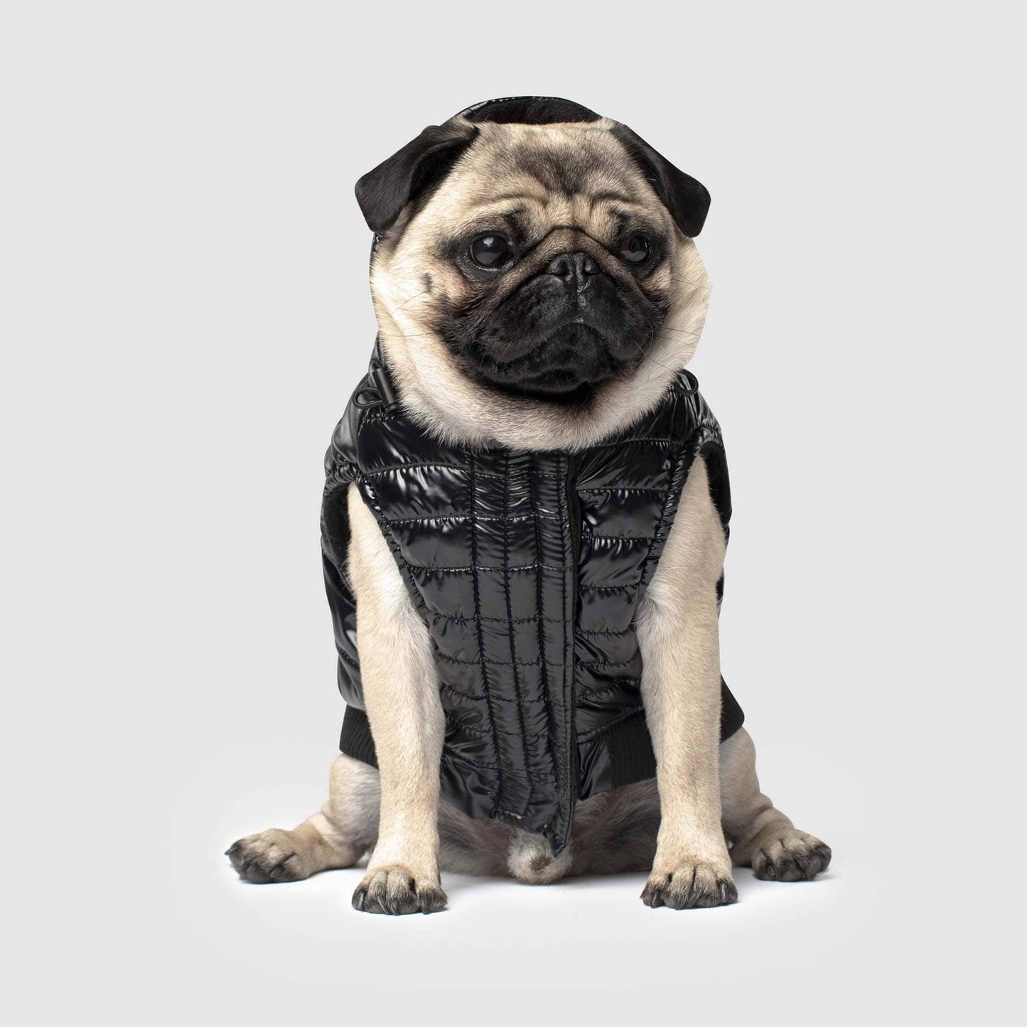 Shiny Puffer Vest- Dog Coat: Black